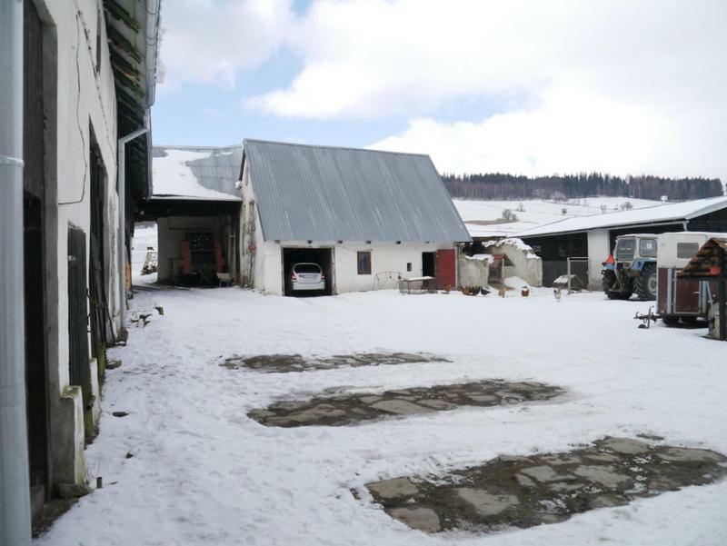 Pod Kasztanem Gospodarstwo Agroturystyczne Stronie Slaskie Bagian luar foto