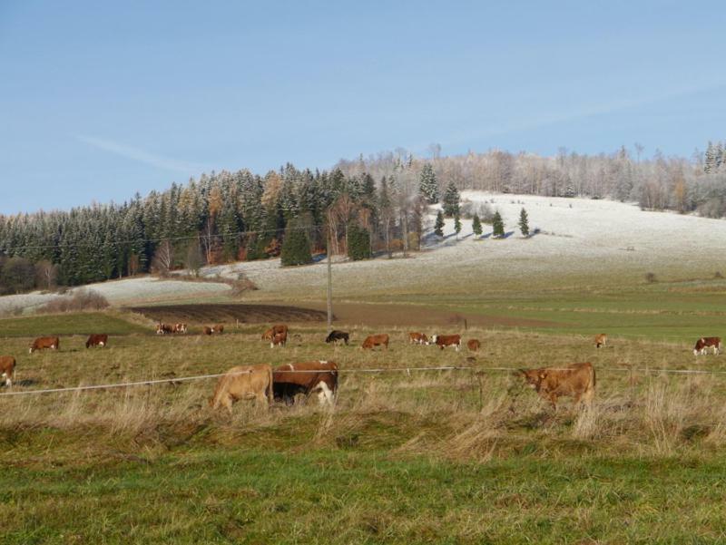 Pod Kasztanem Gospodarstwo Agroturystyczne Stronie Slaskie Bagian luar foto