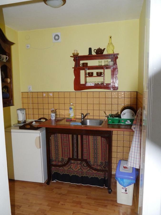 Pod Kasztanem Gospodarstwo Agroturystyczne Stronie Slaskie Bagian luar foto