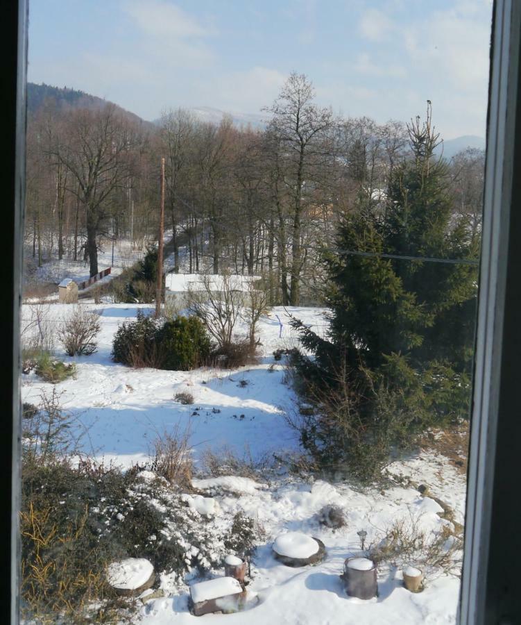 Pod Kasztanem Gospodarstwo Agroturystyczne Stronie Slaskie Bagian luar foto